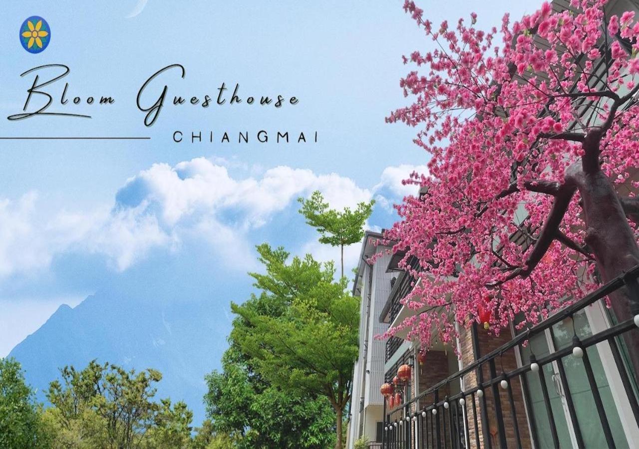 Bloom Guesthouse Chiang Mai Bagian luar foto